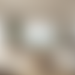 Showcasing Character and Space in Fort Pierce Homes with Professional Photography