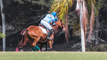 0J2A8377Wellington Polo match photographed by Edwin Figueroa Photography5.jpg