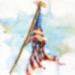 United States Flag