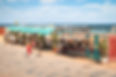 Mokai-express-edits-12_Web.jpeg