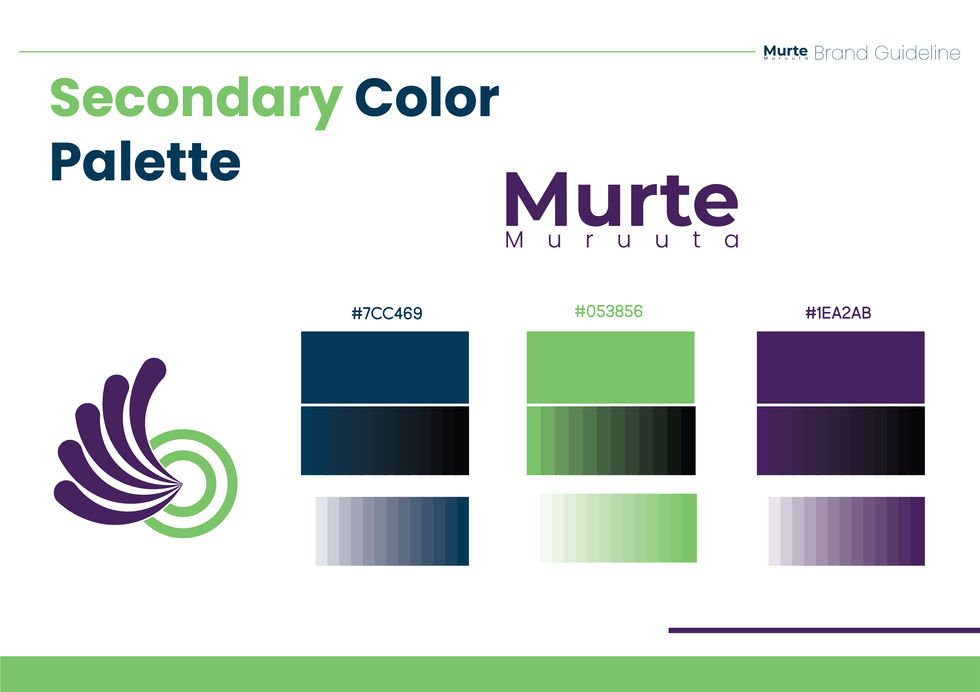 Secondary Color Palette