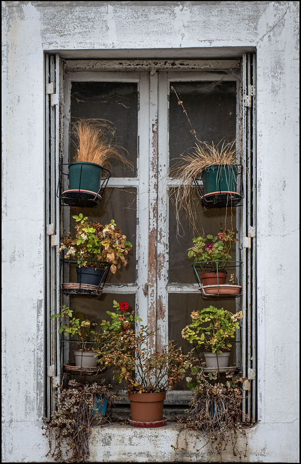 Bourgogne38.jpg