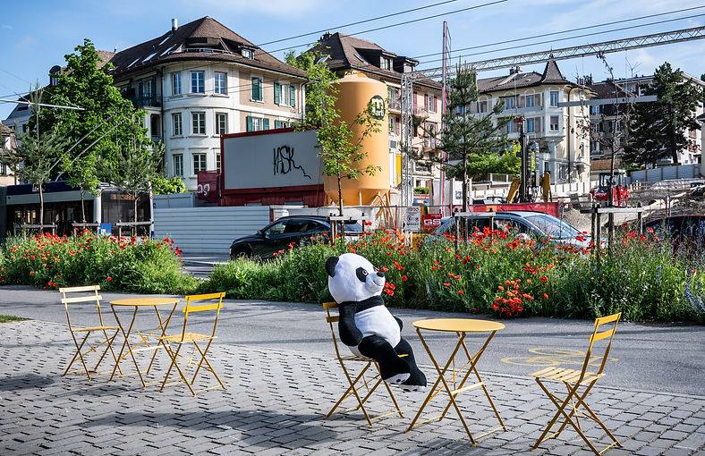 Panda.jpg