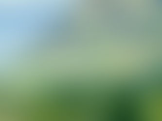 The green colors of the Lakeside District