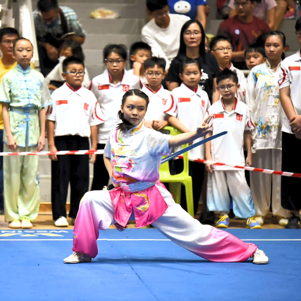 SHINE Children and Youth Services Youth Volunteer Wushu Performance