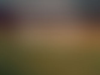 What would you like to see in the world?