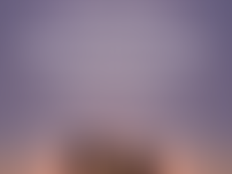 What does their package say?