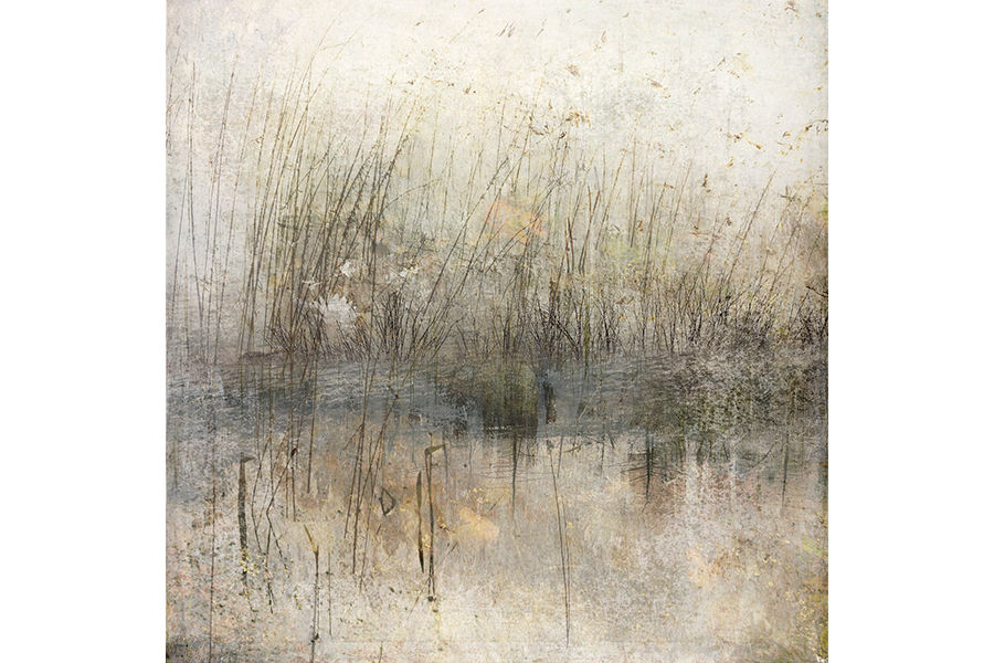 Kocak_At Meadow Pond_photo encaustic_16x16