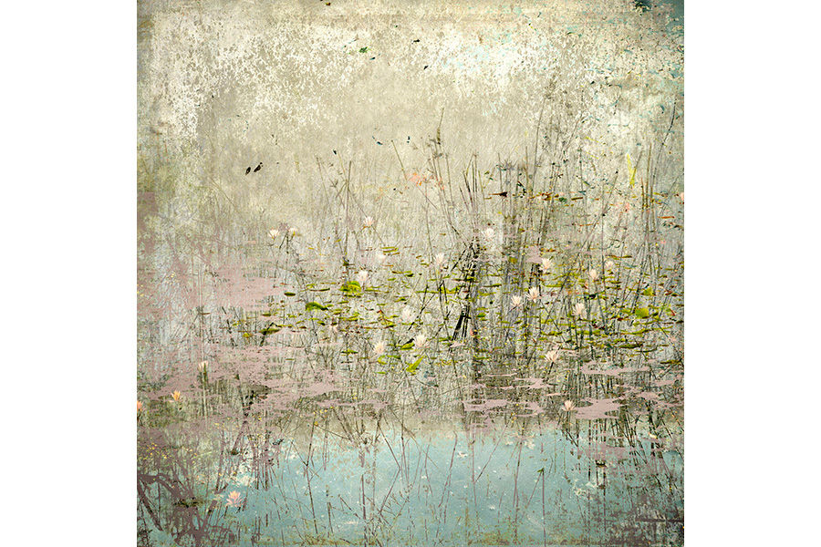 Kocak_Edge of the Bog VII_encaustic photo_18x18