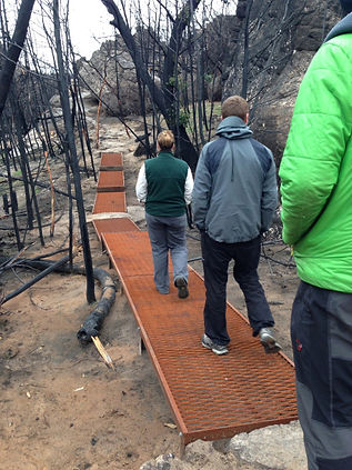 2014fires-3.jpeg
