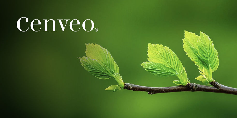 CVO-Portfolio-Header-Image.jpg