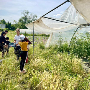 EMISSION WAZUP - Novembre 2022