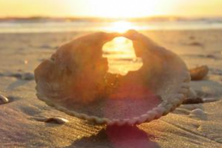 Photo by Laura Jean Holdaway.png