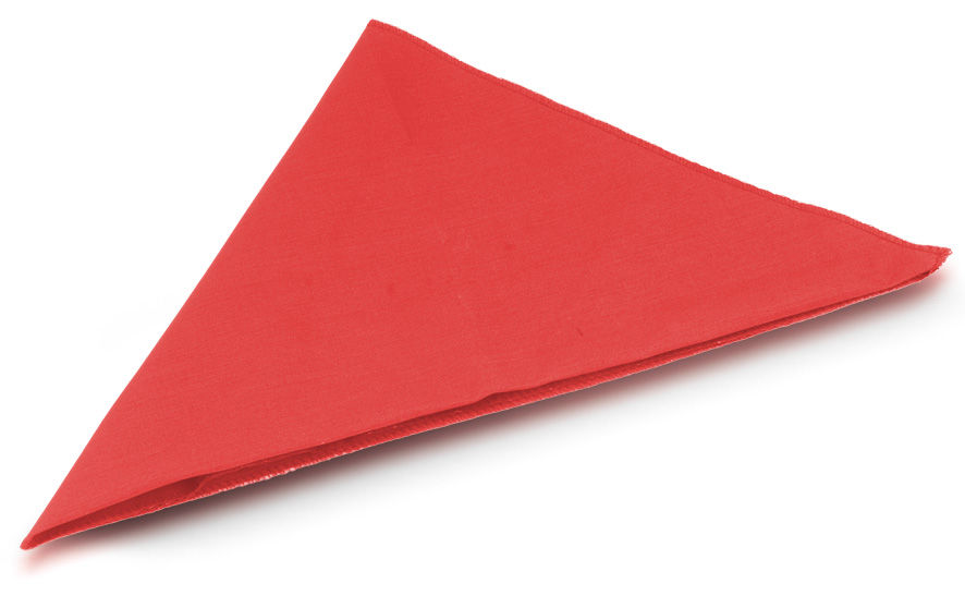 Thumbnail: Cloth napkins /מפיות בד