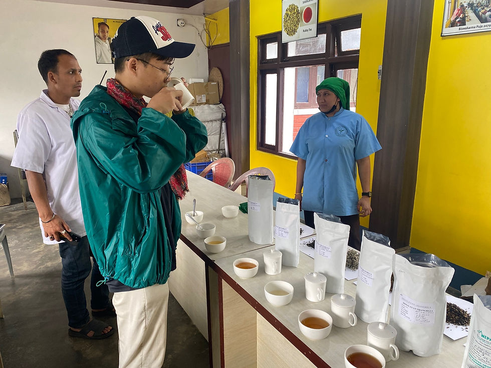 2025.6.4 tea 공장 방문 3__네팔 Ilam 지역.jpg