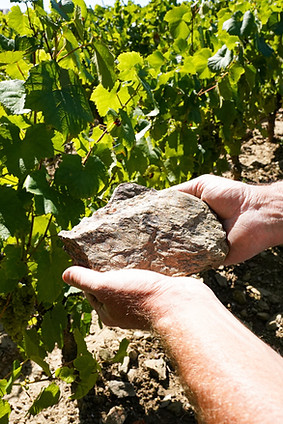 Domaine Lucas Salmon - Mickaël Salmon