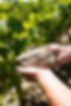 Domaine Lucas Salmon - Mickaël Salmon