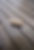 DSC00028.JPG
