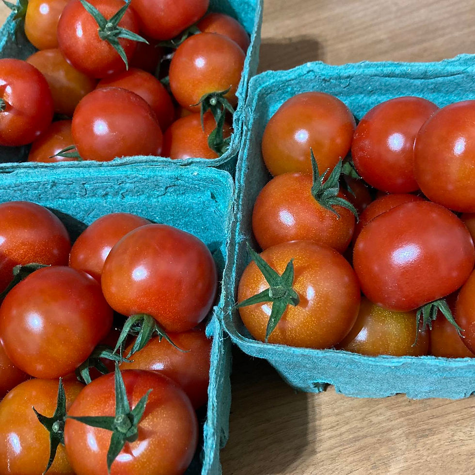 Tomatos.jpg