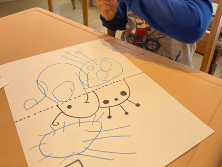 Ms. Evelyn's Notes from Early Childhood Education
