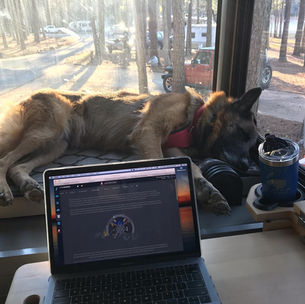 German Shepherd sleeping on motorhome dashboard