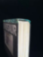 Dinosaur : A Photicular Book spine