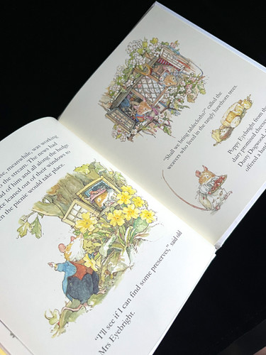 Brambly Hedge – The Four Seasons Box Set | Ichigo Select