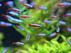 우리 아이들을 살리는 길