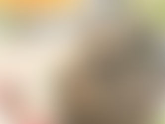 ホームページ公開