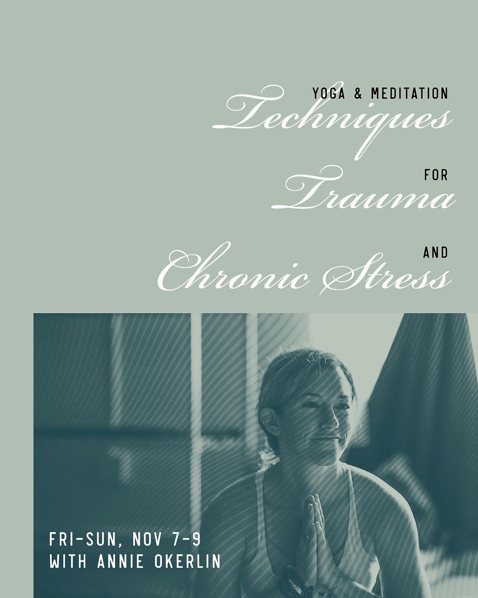 Yoga & Meditation Techniques for Trauma & Chronic Stress
