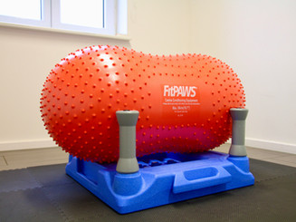 Fit Paws Peanut und Sports Klimb