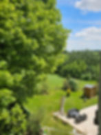 Paysage verdoyant, jardin et patio, un havre de paix