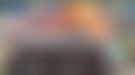 Strengthening Biochar Quality Standards for a Sustainable Circular Bioeconomy