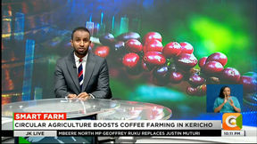 How Biochar is Transforming Agriculture: Insights from Kenyan Farmers on Sustainable Practices