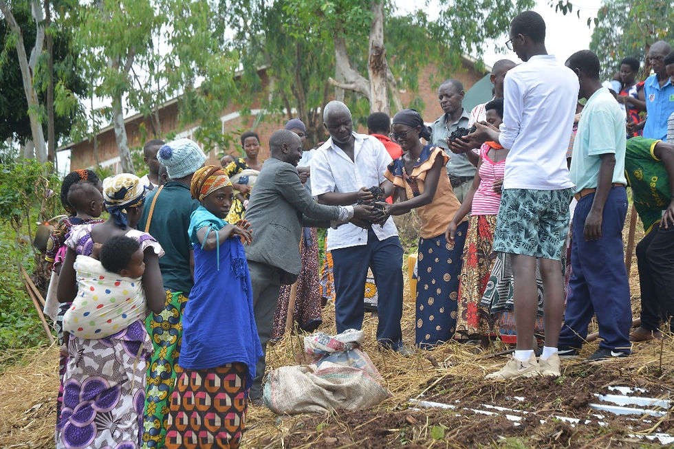 Adolphe Sahinguvu, a training participant, asking questions to the trainers during the field demonstration before burning the biomass in the trench