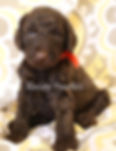IMG_0480_1 - Copy_edited.jpg