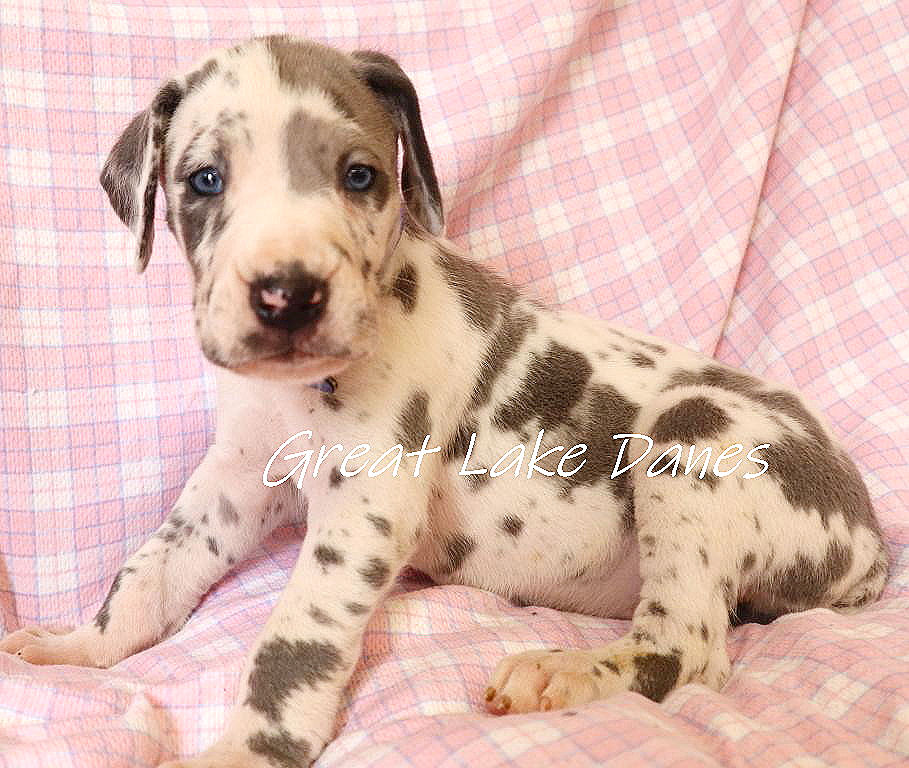 IMG_1155_1_edited