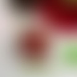 CHOCOLATE AVOCADO PUDDING