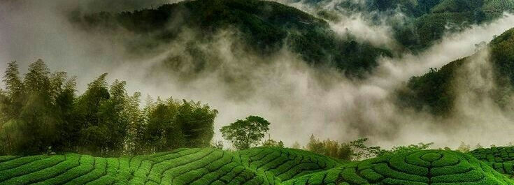 Classic Assam Meghalaya
