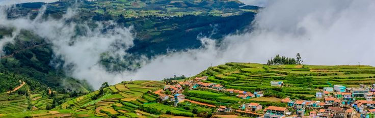 Mysore Majesty & Coorg Nature Retreat