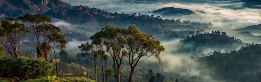 Mysore – Ooty – Coonoor Family Getaway