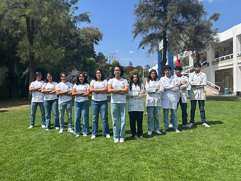 WhatsApp Image 2026-03-12 at 12.22.49 (1).jpeg