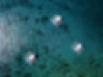 image3.jpeg