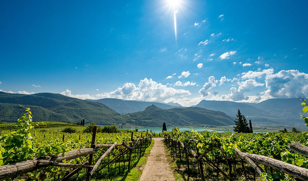 Landschaft_Kaltern_Manfred Pernthaler (21).jpeg