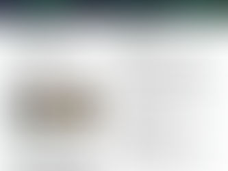 November Update