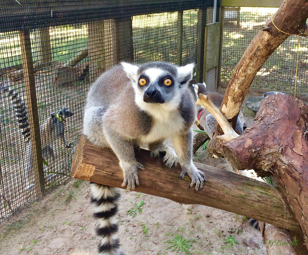 Hazel lookin' cray cray