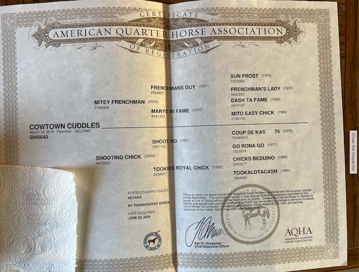 Screenshot 2026-01-07 at 7.00.06 PM