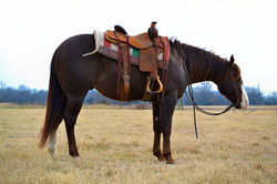 949CD399-67EF-4D83-87B3-C87AF6BDEFA4