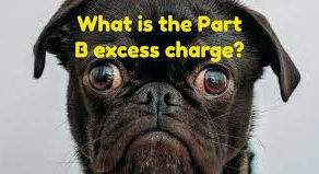 All About Medicare Part B Excess Charges