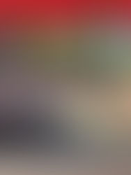 Lyst til å delta på SOOTmarkedet?